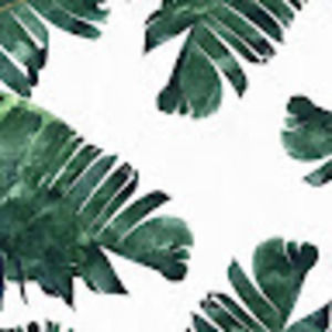 Meet your Posher, Sherry